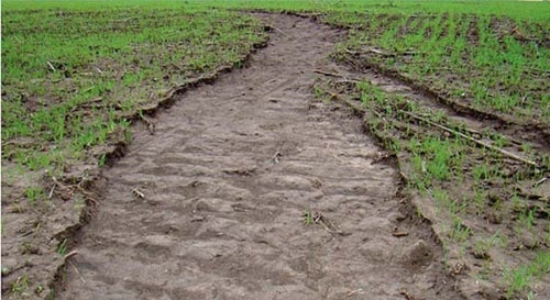 Пока не поздно. FAO начнет 3-летнюю программу по борьбе с деградацией почв на юге Украины