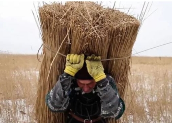 Названы два первых победителя Одесского кинофестиваля – 2018