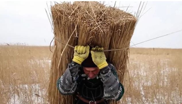 Названы два первых победителя Одесского кинофестиваля – 2018