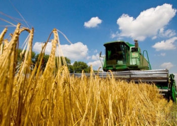 На Николаевщине намололи 1,7 миллиона тонн зерна. Средняя урожайность выше, чем год назад