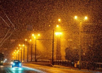 Сюжет для хоррора: Витебск на три дня поглотили полчища мотыльков