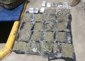 Конопля и гашиш. На границе задержали украинца с почти 14 кг наркотиков