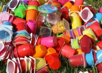 В Молдове запретили пластиковую посуду. Но не сейчас