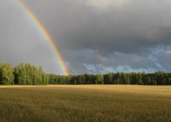 Николаевский гидрометеоцентр обещает жару, дожди и грозы до конца недели
