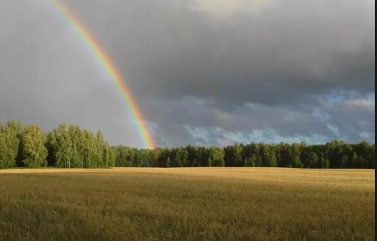 Николаевский гидрометеоцентр обещает жару, дожди и грозы до конца недели