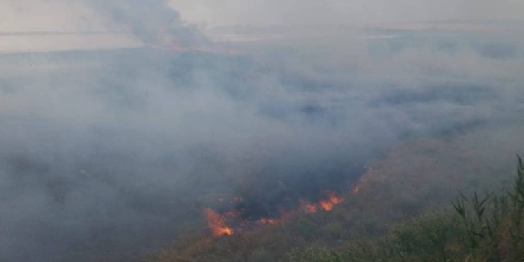 Возле Рыбаковки второй раз горят поля: халатность или злой умысел?