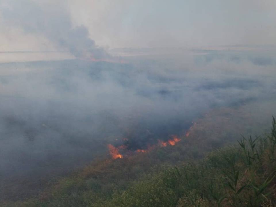 Украинцев предупредили про самый высокий уровень пожарной опасности 1