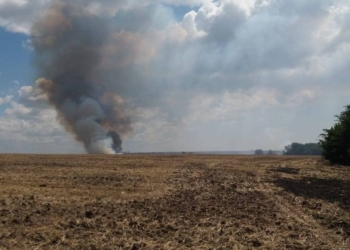 Возле Рыбаковки второй раз горят поля: халатность или злой умысел?