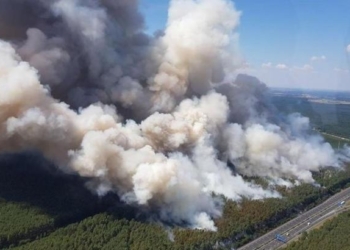 Лесной пожар в Германии: поселок под Берлином могут эвакуировать