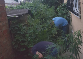 В Николаеве полиция задержала двух братьев-наркоторговцев