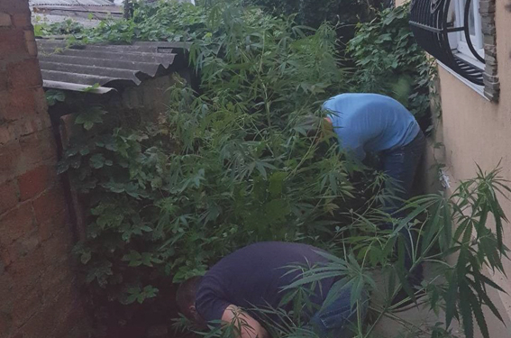 В Николаеве полиция задержала двух братьев-наркоторговцев