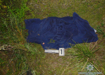 В Николаеве на Аляудах этой ночью забили женщину до смерти. Полиция просит ее опознать