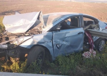 В Одесской области женщина-водитель пыталась избежать наезда на собаку: один ее ребенок погиб, трое в больнице