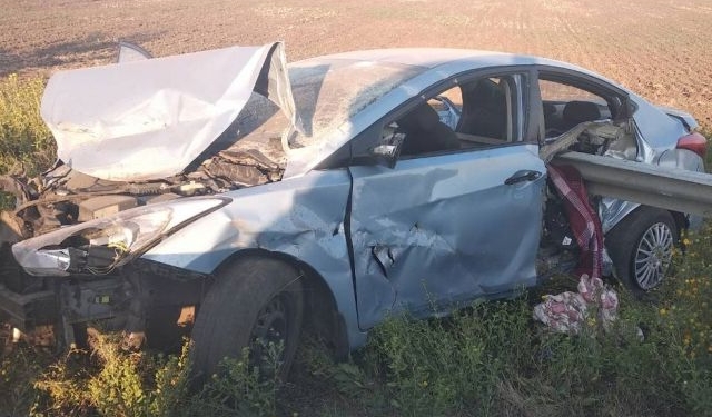 В Одесской области женщина-водитель пыталась избежать наезда на собаку: один ее ребенок погиб, трое в больнице