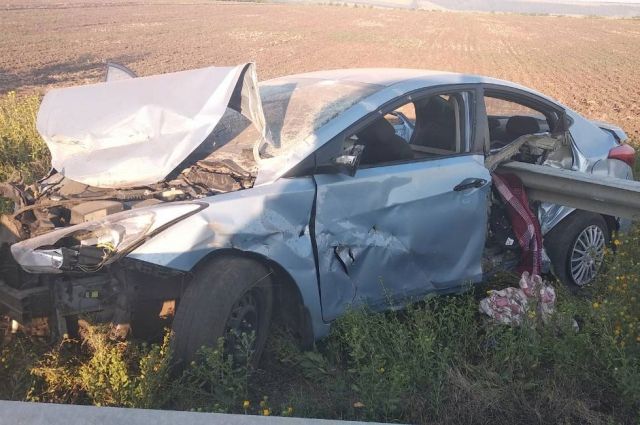 В Одесской области женщина-водитель пыталась избежать наезда на собаку: один ее ребенок погиб, трое в больнице 1