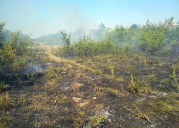 Восемь пожаров за сутки на открытых территориях пришлось тушить спасателям Николаевщины