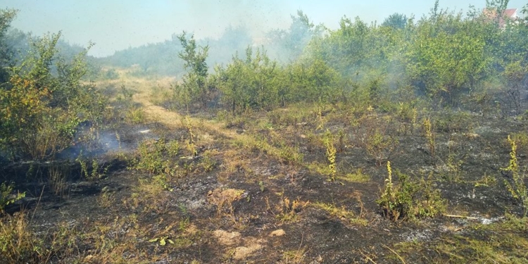 Восемь пожаров за сутки на открытых территориях пришлось тушить спасателям Николаевщины