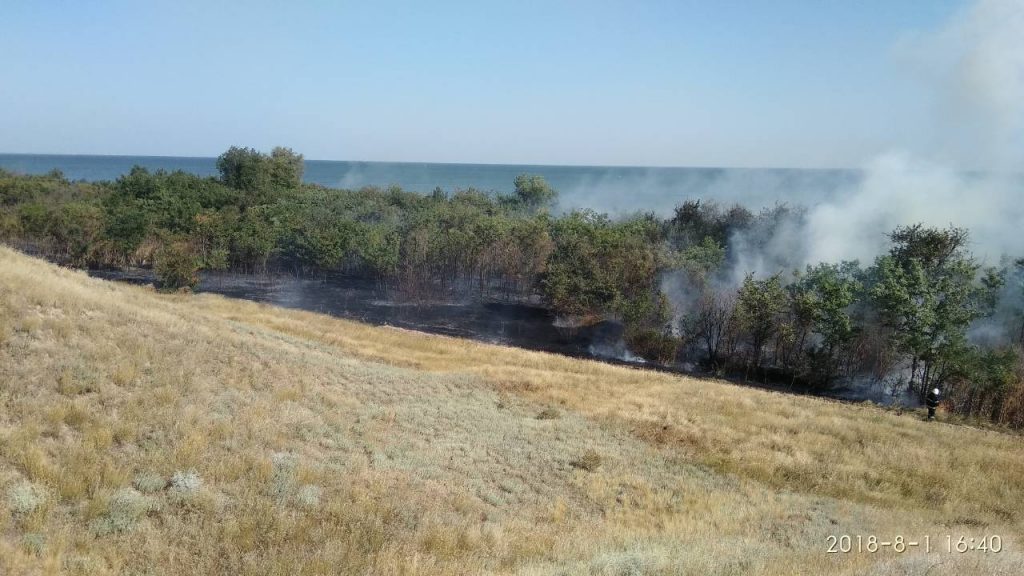 В Балабановском лесу под Николаевом сгорела хвойная подстилка, а в Очаковском районе – 4,5 га сухой травы 1