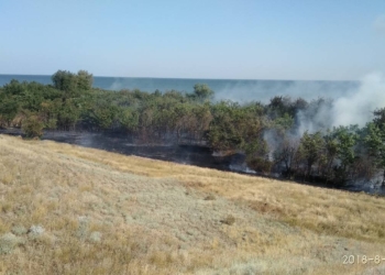 В Балабановском лесу под Николаевом сгорела хвойная подстилка, а в Очаковском районе – 4,5 га сухой травы