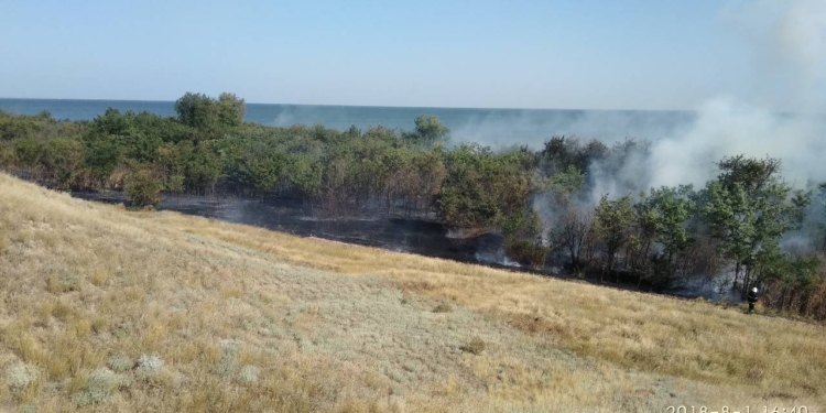 В Балабановском лесу под Николаевом сгорела хвойная подстилка, а в Очаковском районе – 4,5 га сухой травы