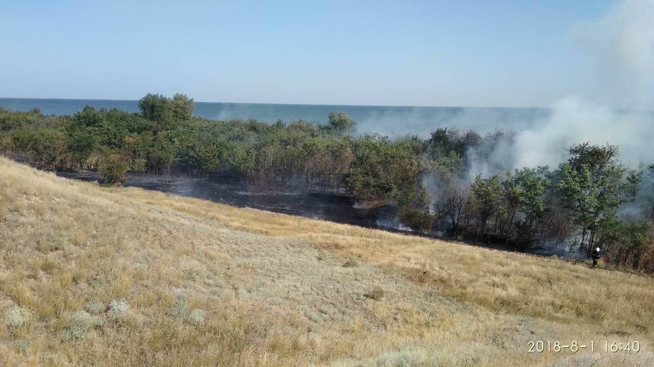 В Балабановском лесу под Николаевом сгорела хвойная подстилка, а в Очаковском районе – 4,5 га сухой травы