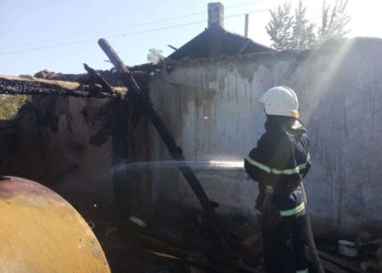 Кто-то бросил спичку? Под Николаевом горело в дачном поселке