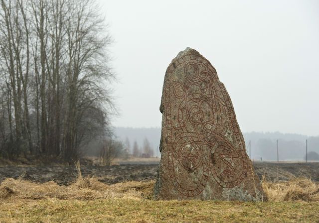 Случайность исторических находок: в Швеции велосипедист спас камень с древними рунами от уничтожения 1