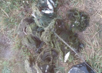 За сутки Николаевский рыбоохранный патруль выявил 7 нарушений Правил рыболовства и изъял 18 незаконных орудий лова