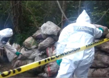 Вот так схрон! В Мексике нашли 50 тонн синтетических наркотиков