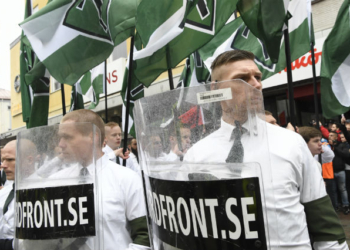 Впервые в Швеции во всеобщих выборах принимает участие неонацистская партия