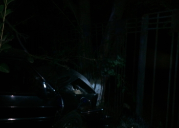 ДТП на Николаевщине: водитель погиб, двое пассажиров в больнице