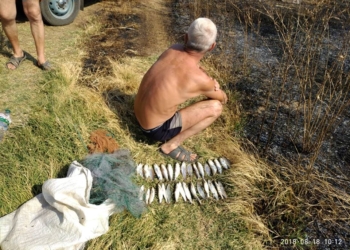 На Николаевщине задержали очередного браконьера – он ловил кефаль во время запрета