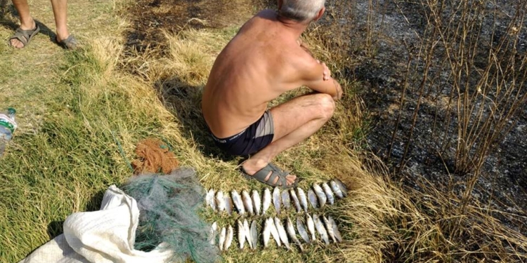 На Николаевщине задержали очередного браконьера – он ловил кефаль во время запрета