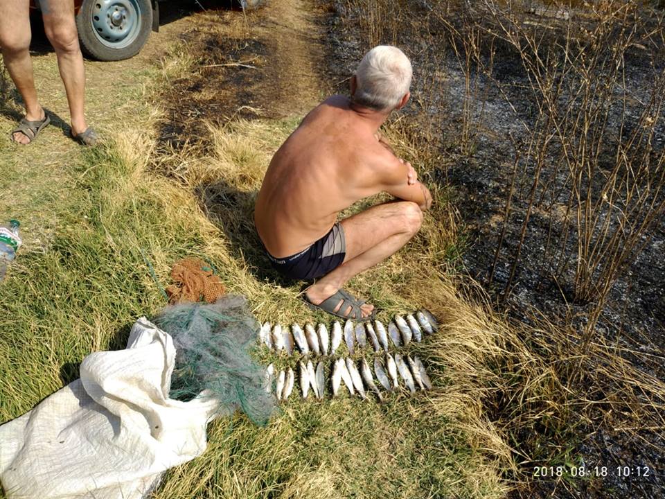На Николаевщине задержали очередного браконьера – он ловил кефаль во время запрета 1