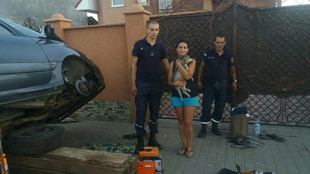 На Закарпатье спасателям пришлось разобрать половину микроавтобуса, чтобы достать щенка хаски 1