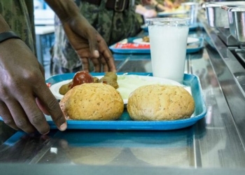 В армии Финляндии вводят обязательный вегетарианский день