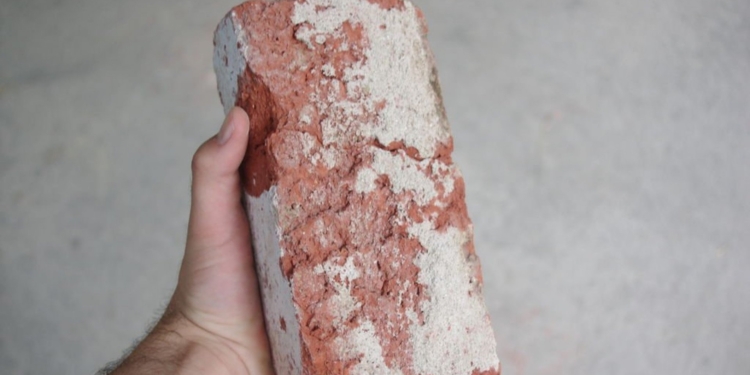 Им бы сценарии для комедий писать: в Британии при ограблении магазина один вор попал своему напарнику кирпичом в голову