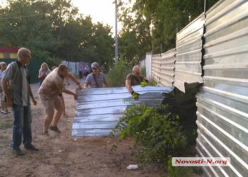 Николаевские активисты снесли забор вокруг стройки в «Леваневцах», к которой имеет отношение зоозащитница Шуст