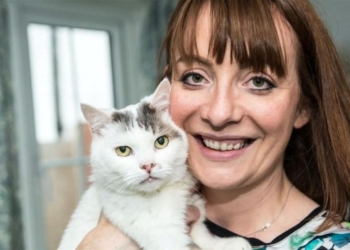 «Кот года», спасший свою хозяйку от смерти, так и не смог получить награду