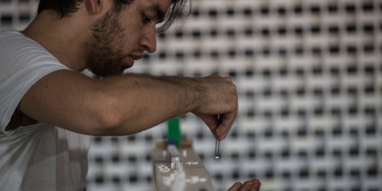 В Германии муха сорвала попытку установить мировой рекорд по самой длинной падающей цепочке мини-домино