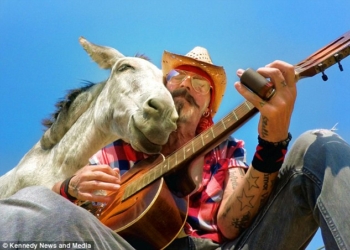 «Как же я без музыки жила?»: известный фотограф любит играть блюз для ослицы Хейзел