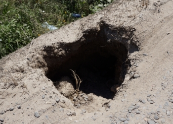 «Дорога смерти» должна стать «дорогой жизни»: во время визита на Николаевщину Олег Ляшко обратился с требованием к чиновникам отремонтировать Н-11