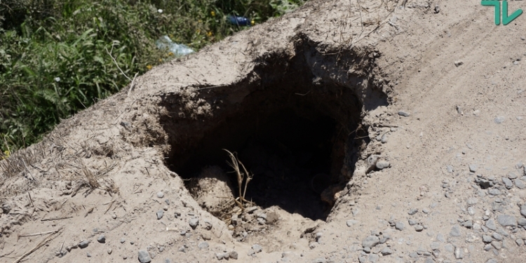 «Дорога смерти» должна стать «дорогой жизни»: во время визита на Николаевщину Олег Ляшко обратился с требованием к чиновникам отремонтировать Н-11