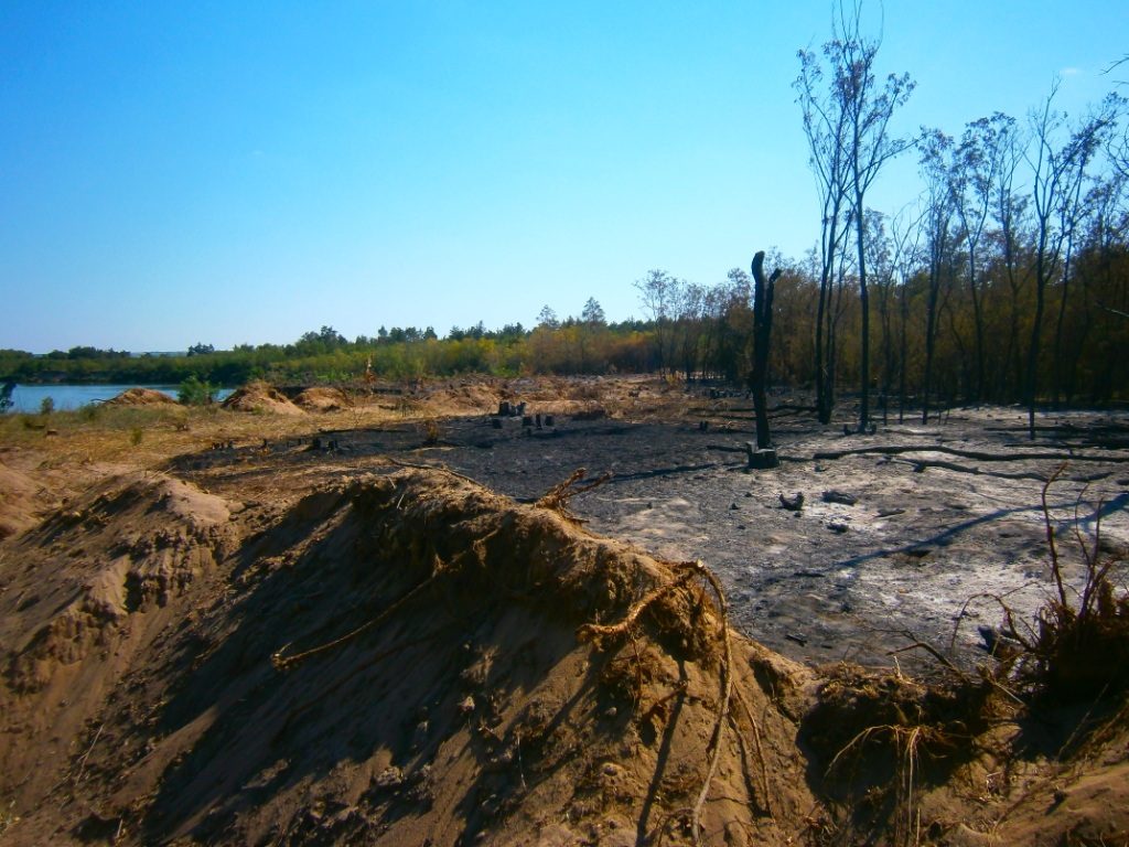 На Николаевщине 4 раза тушили пожары в частном секторе и трижды – в лесах 19