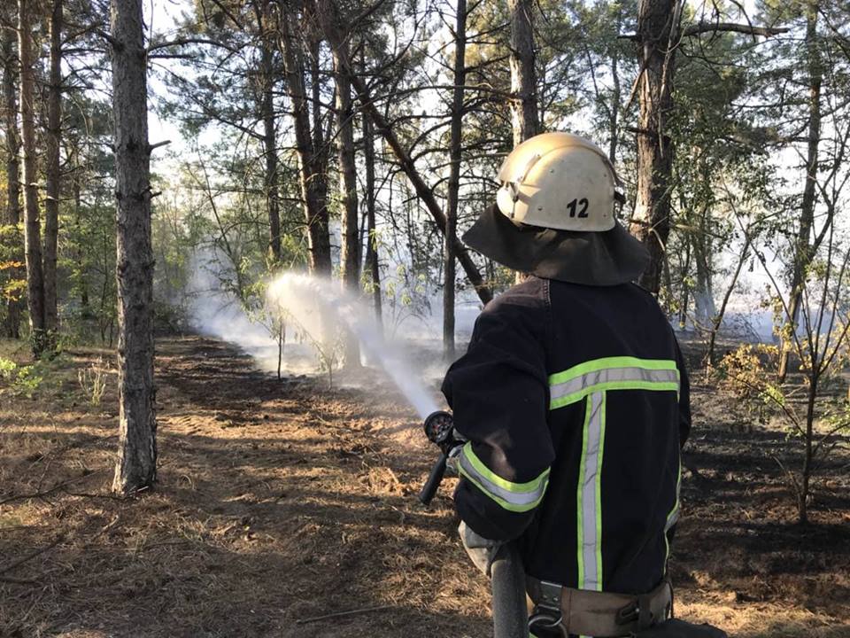 На Николаевщине 4 раза тушили пожары в частном секторе и трижды – в лесах 21