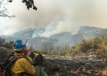 В Калифорнии самый масштабный пожар в истории штата: из Лос-Анджелеса эвакуируют 20 тысяч человек