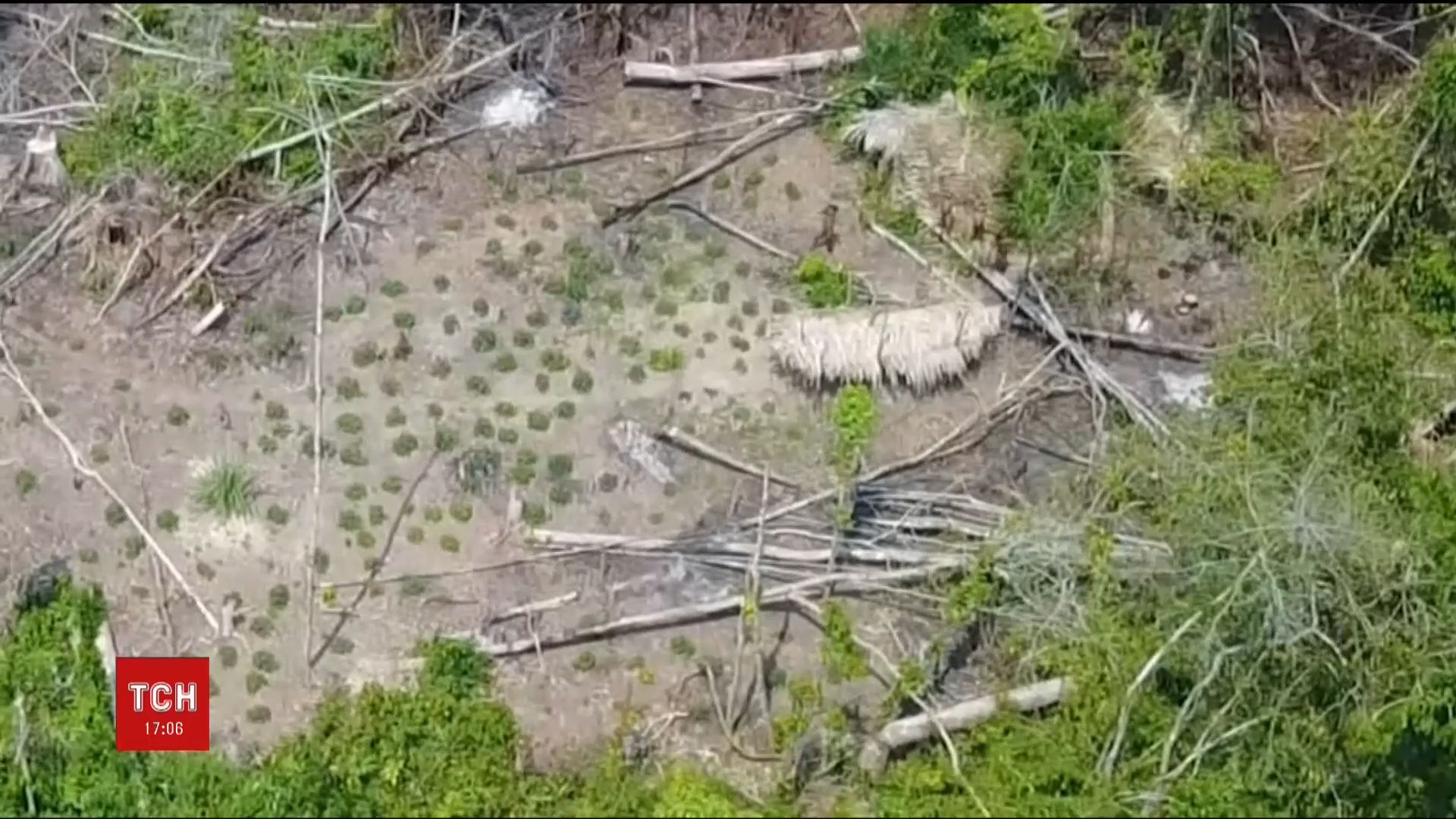 В джунглях Бразилии впервые засняли аборигенов, которые вооружены луками и ведут первобытный образ жизни