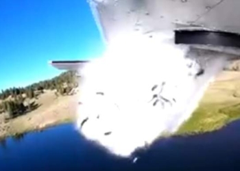 Зарыбление по-американски. Рыбу в озеро сбрасывают с самолета