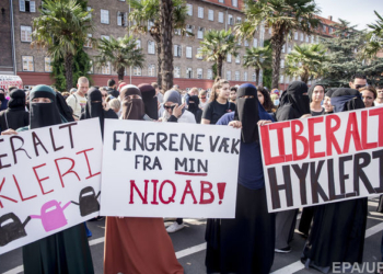 В Копенгагене прошли протесты против нового закона относительно ношения паранджи