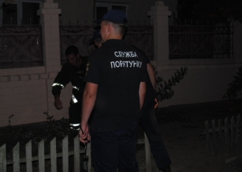 В Николаеве спасатели достали корову из выгребной ямы